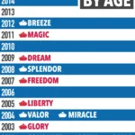 Carnival Ships by Age