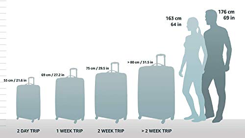 Rockland Laguna Beach Hardside Spinner Wheel Luggage, Black Dot, Carry-On 20-Inch