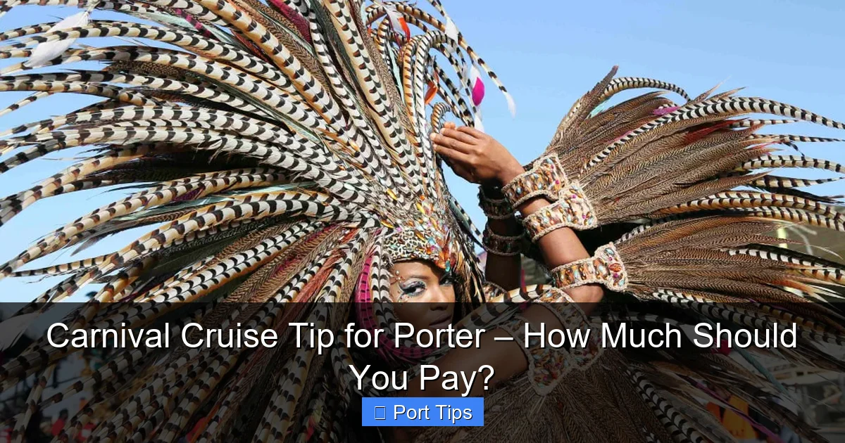Carnival Cruise Tip for Porter – How Much Should You Pay? - content2 visual guide