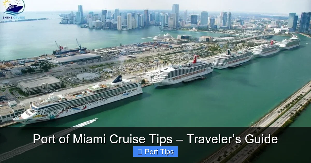 Port of Miami Cruise Tips – Traveler’s Guide - content2 visual guide
