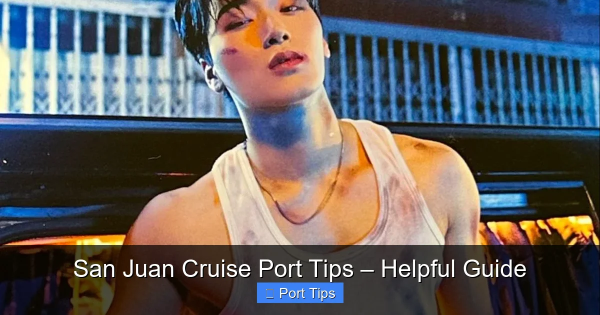 San Juan Cruise Port Tips – Helpful Guide - content2 visual guide