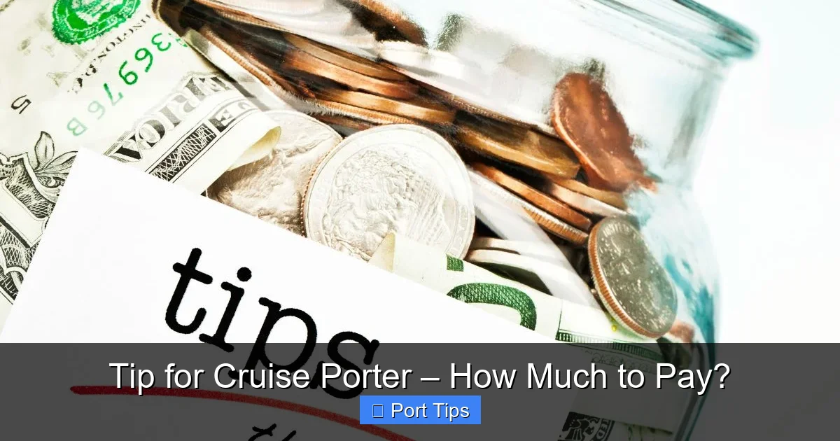 Tip for Cruise Porter – How Much to Pay? - content1 visual guide