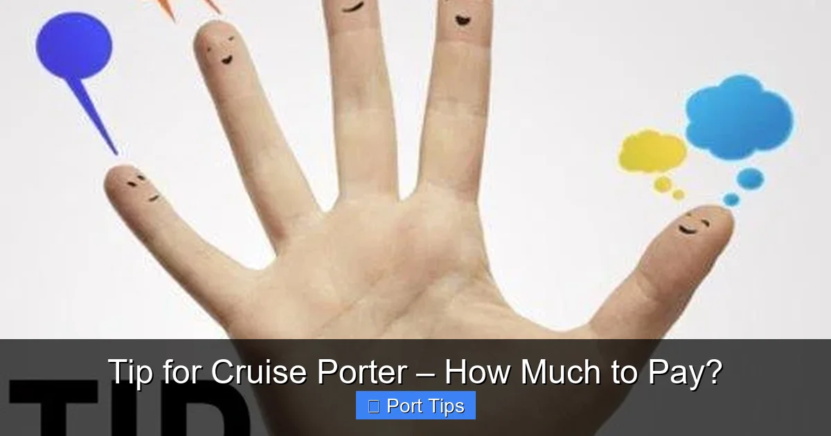 Tip for Cruise Porter – How Much to Pay? - content2 visual guide