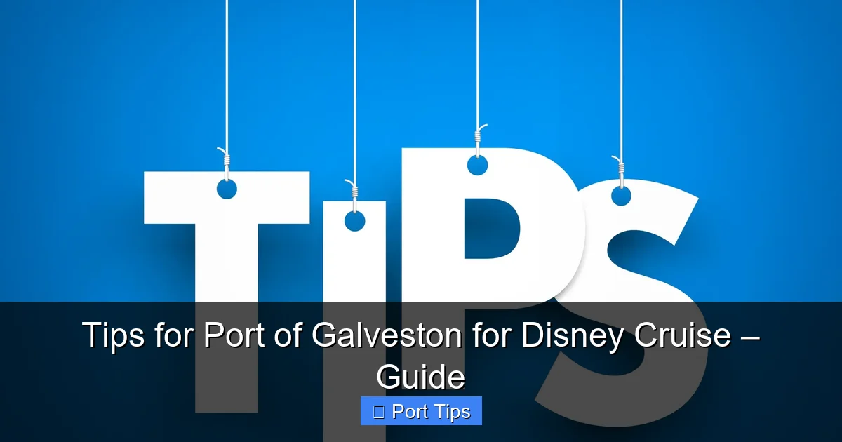 Tips for Port of Galveston for Disney Cruise – Guide - content1 visual guide