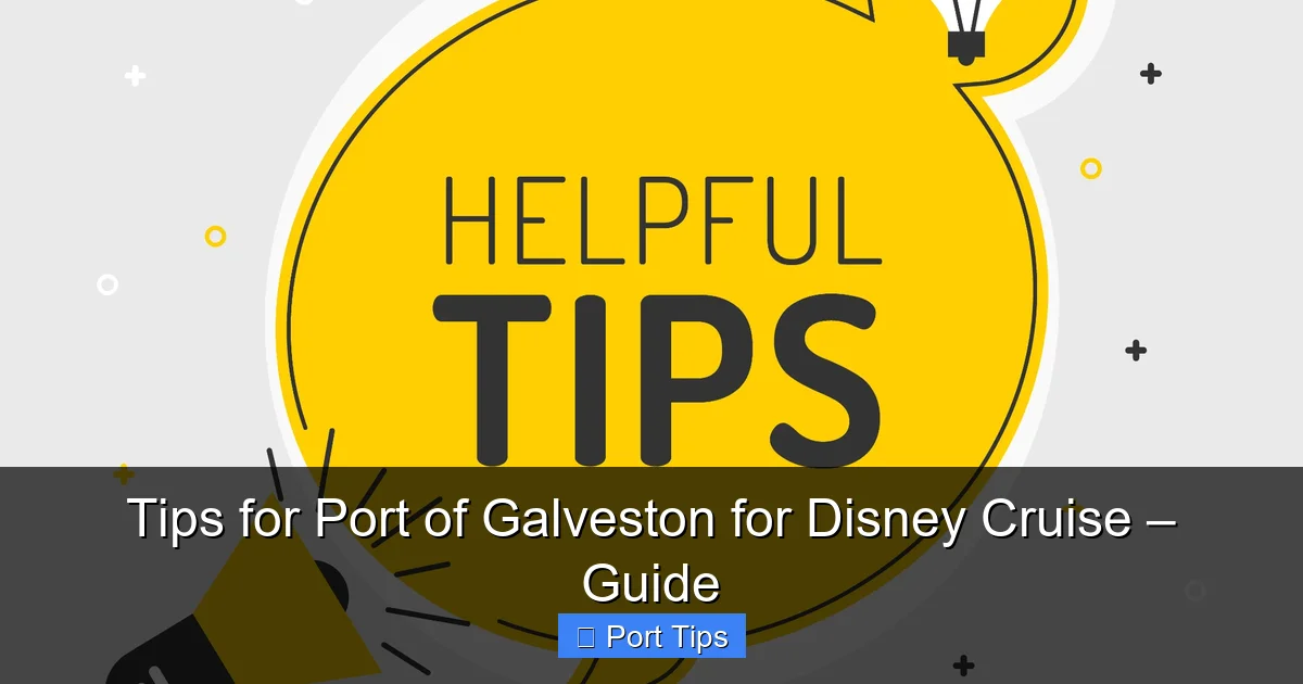 Tips for Port of Galveston for Disney Cruise – Guide - content2 visual guide