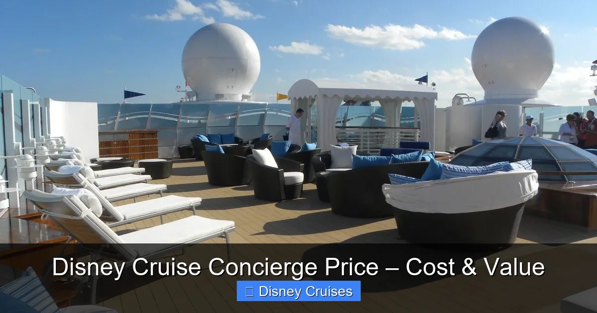 Disney Cruise Concierge Price – Cost & Value - content1 visual guide
