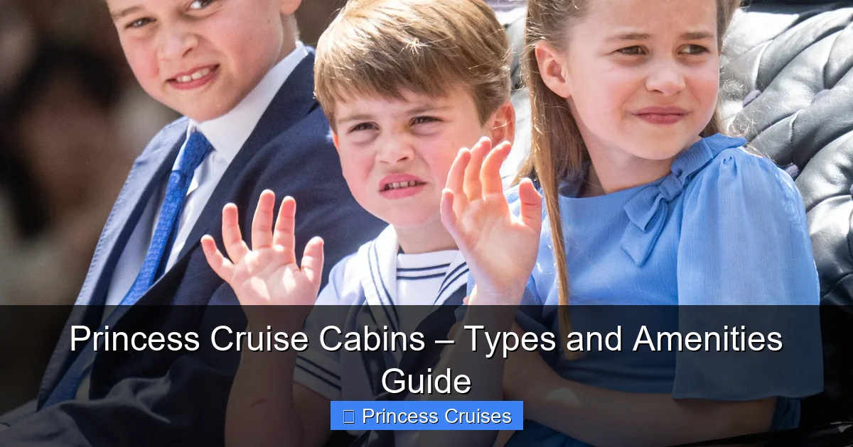 Princess Cruise Cabins – Types and Amenities Guide - content2 visual guide