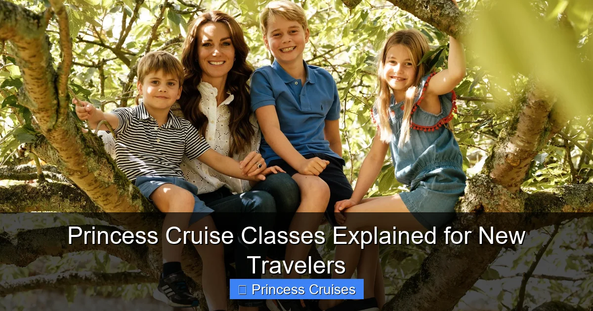 Princess Cruise Classes Explained for New Travelers - content1 visual guide