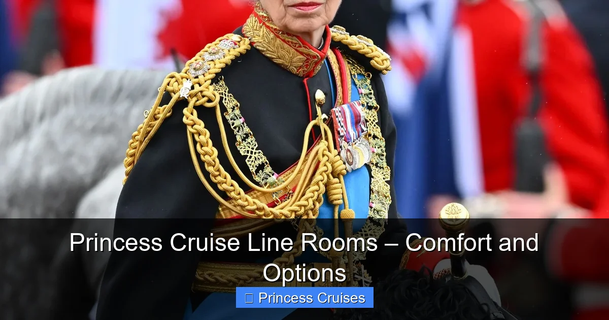 Princess Cruise Line Rooms – Comfort and Options - content2 visual guide