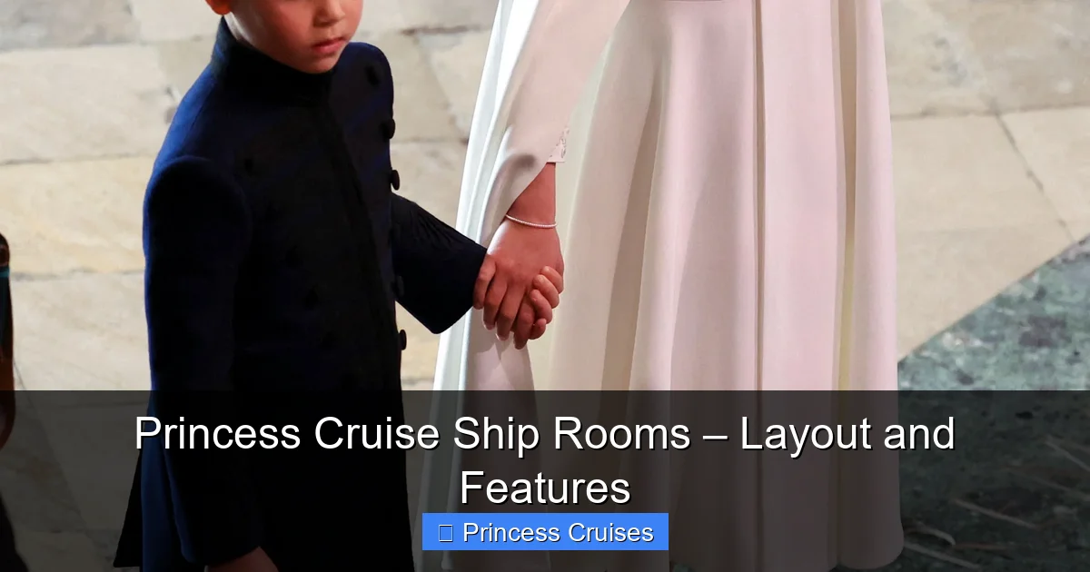 Princess Cruise Ship Rooms – Layout and Features - content1 visual guide
