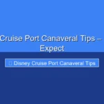 Featured image for Disney Cruise Port Canaveral Tips – What to Expect
