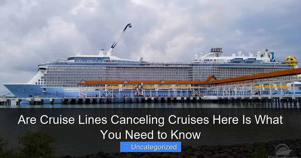 Are Cruise Lines Canceling Cruises Here Is What You Need to Know