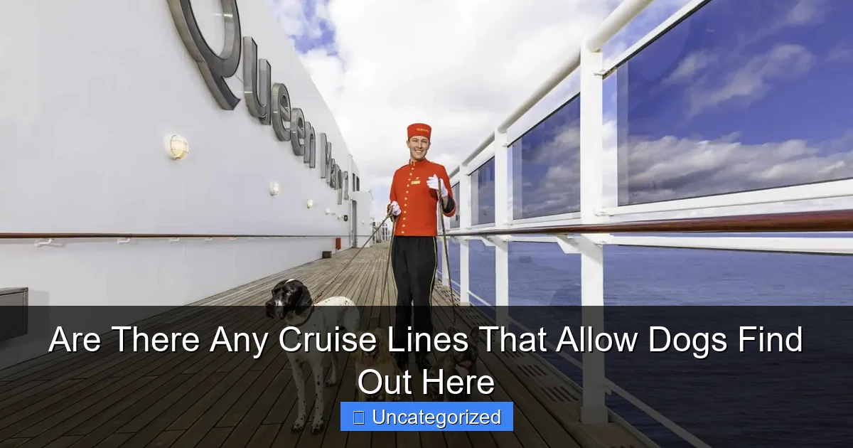 Are There Any Cruise Lines That Allow Dogs Find Out Here
