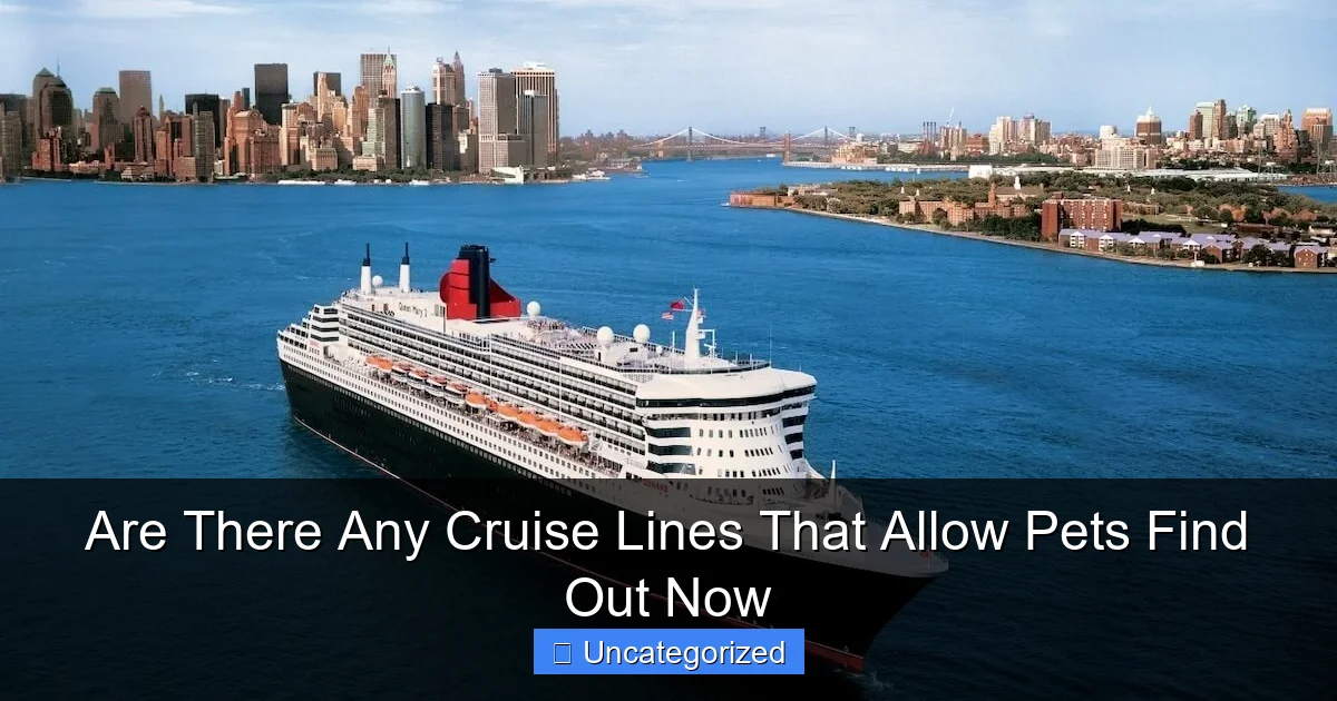 Are There Any Cruise Lines That Allow Pets Find Out Now