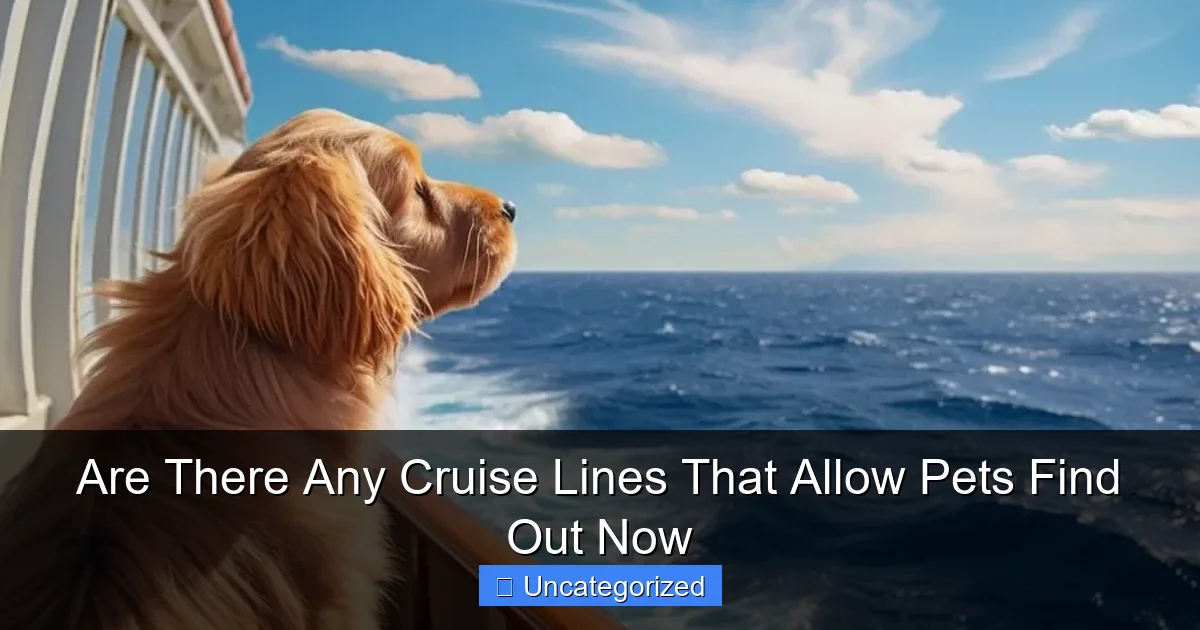 Are There Any Cruise Lines That Allow Pets Find Out Now