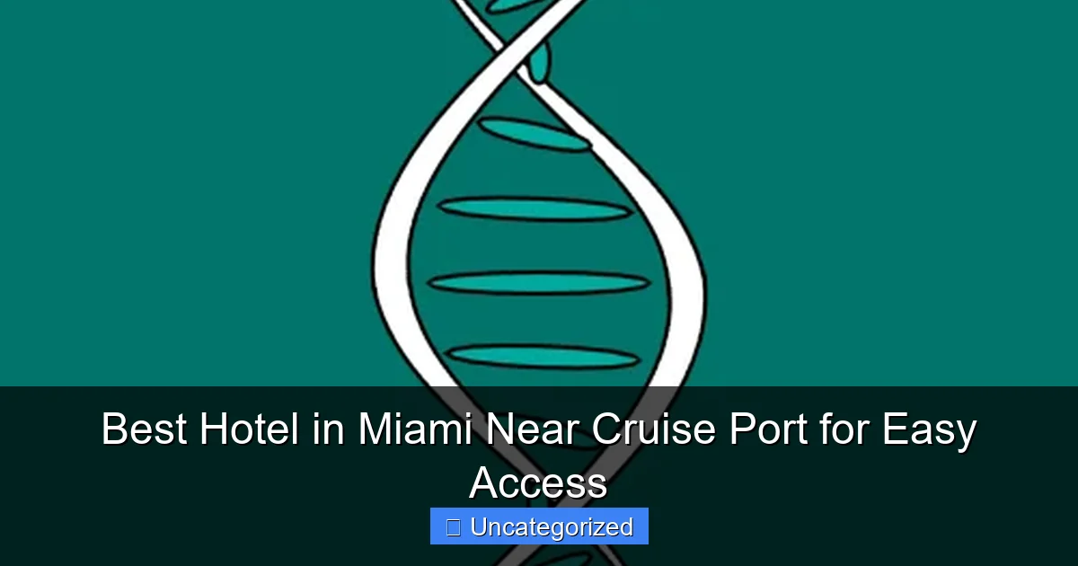 Best Hotel in Miami Near Cruise Port for Easy Access