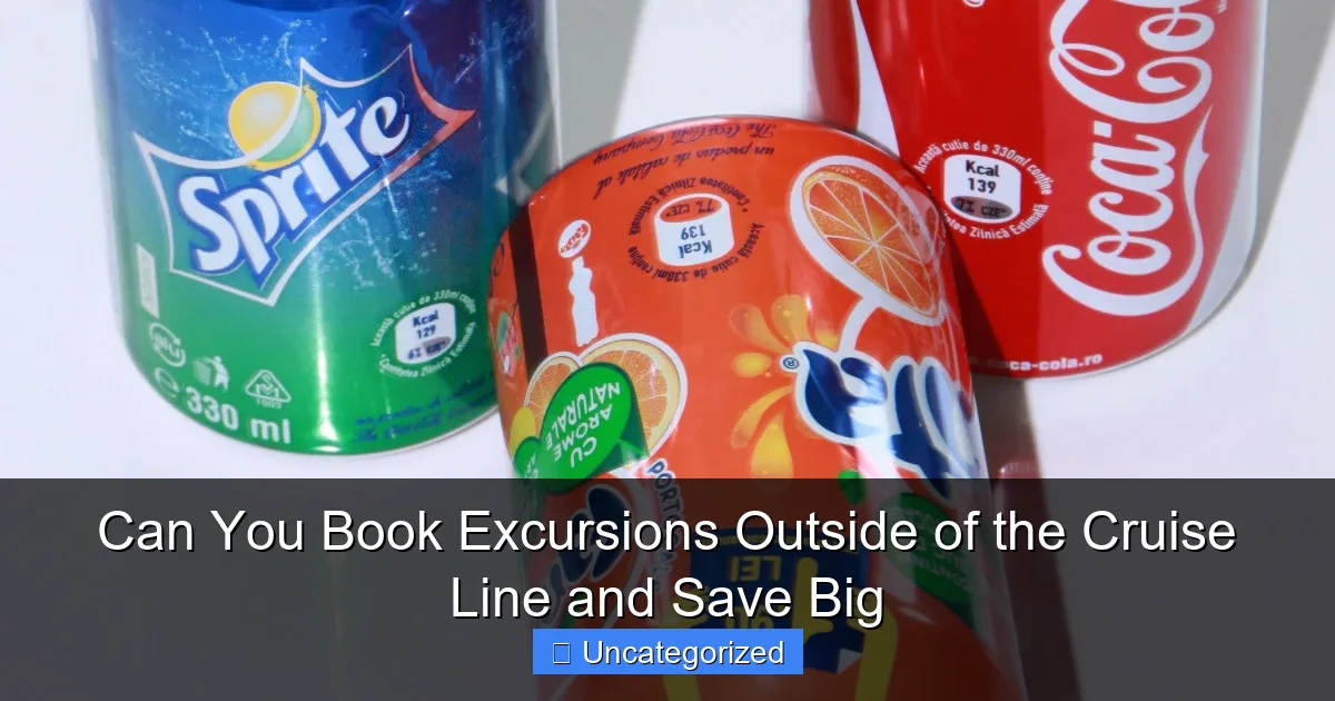 Can You Book Excursions Outside of the Cruise Line and Save Big