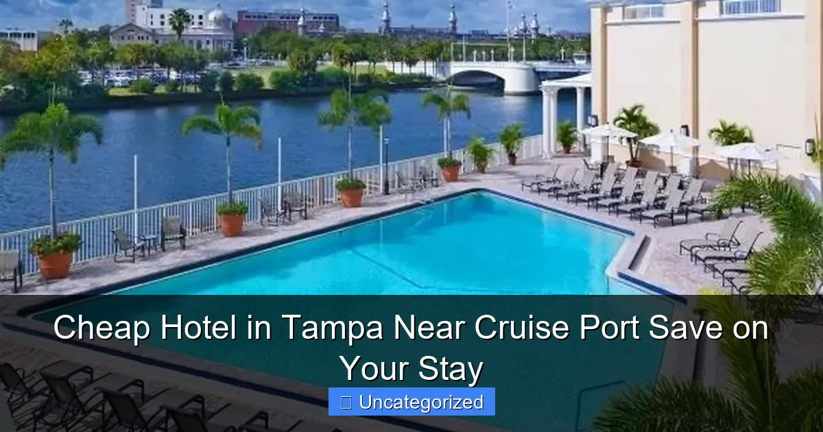 Cheap Hotel in Tampa Near Cruise Port Save on Your Stay