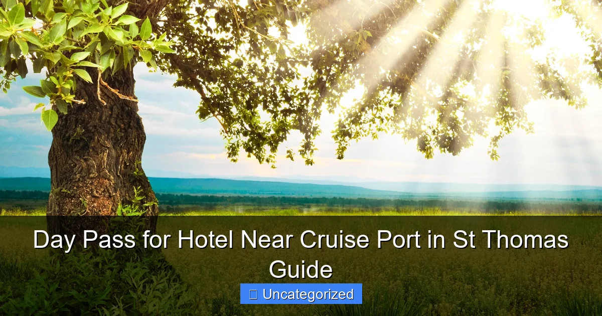 Day Pass for Hotel Near Cruise Port in St Thomas Guide