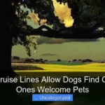 Do Any Cruise Lines Allow Dogs Find Out Which Ones Welcome Pets