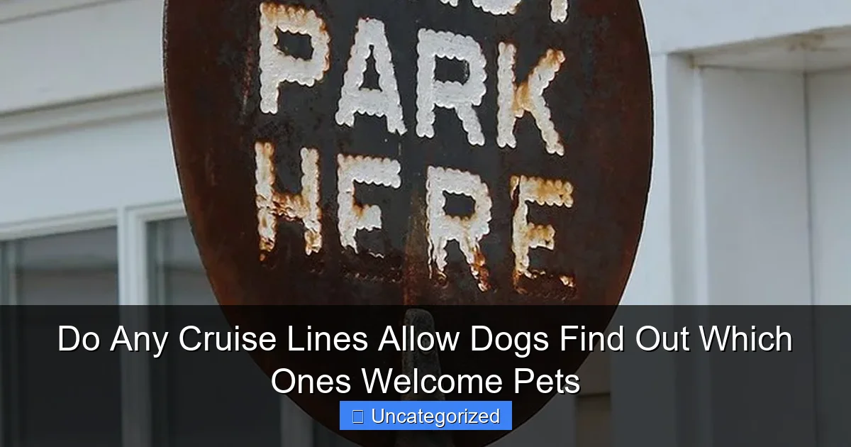 Do Any Cruise Lines Allow Dogs Find Out Which Ones Welcome Pets