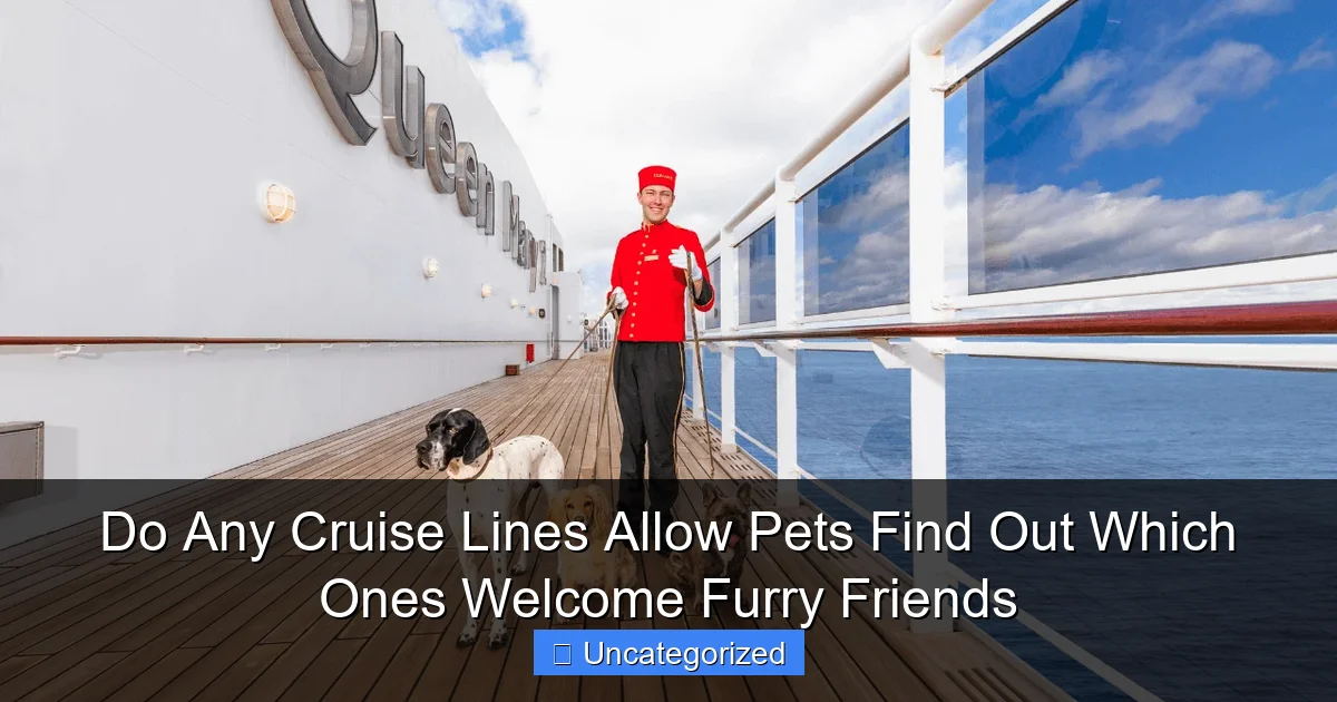 Do Any Cruise Lines Allow Pets Find Out Which Ones Welcome Furry Friends