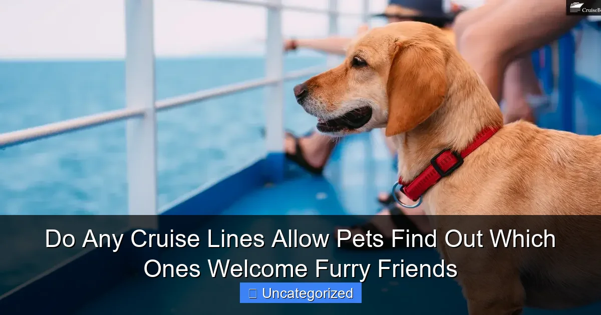 Do Any Cruise Lines Allow Pets Find Out Which Ones Welcome Furry Friends