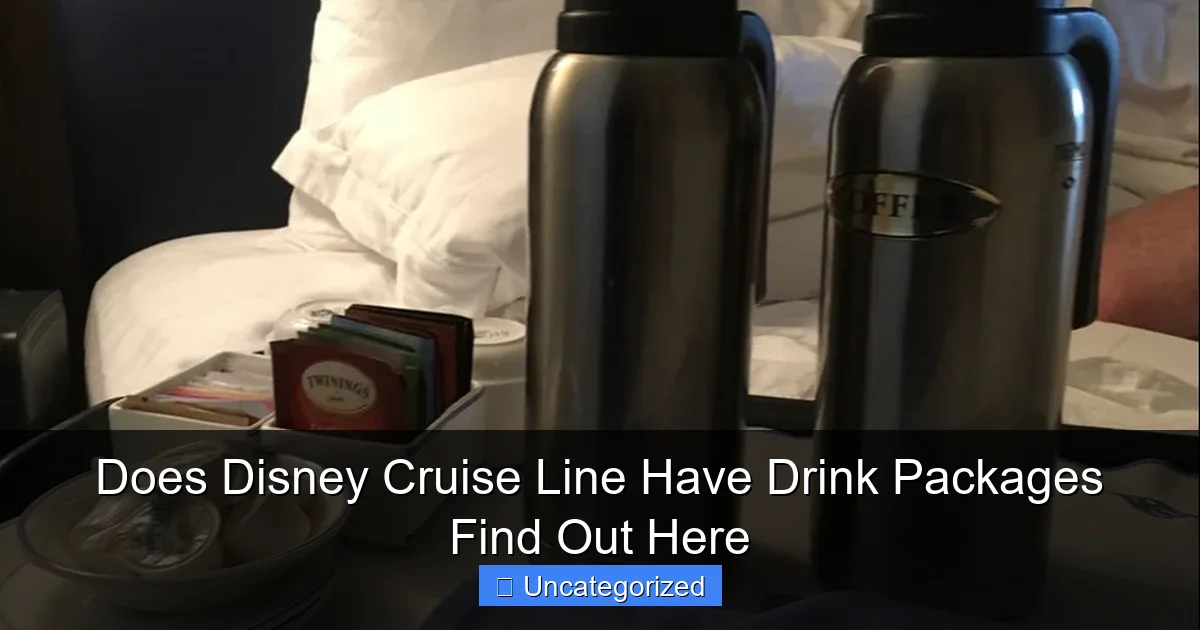 Does Disney Cruise Line Have Drink Packages Find Out Here