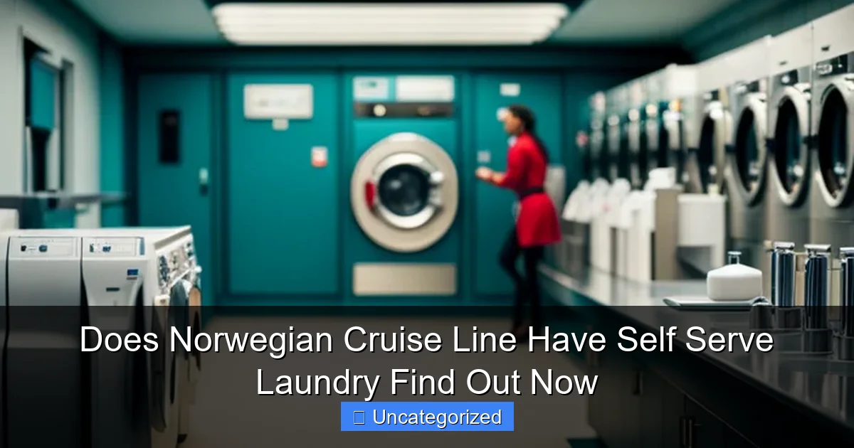 Does Norwegian Cruise Line Have Self Serve Laundry Find Out Now