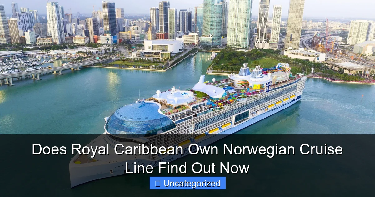 Does Royal Caribbean Own Norwegian Cruise Line Find Out Now