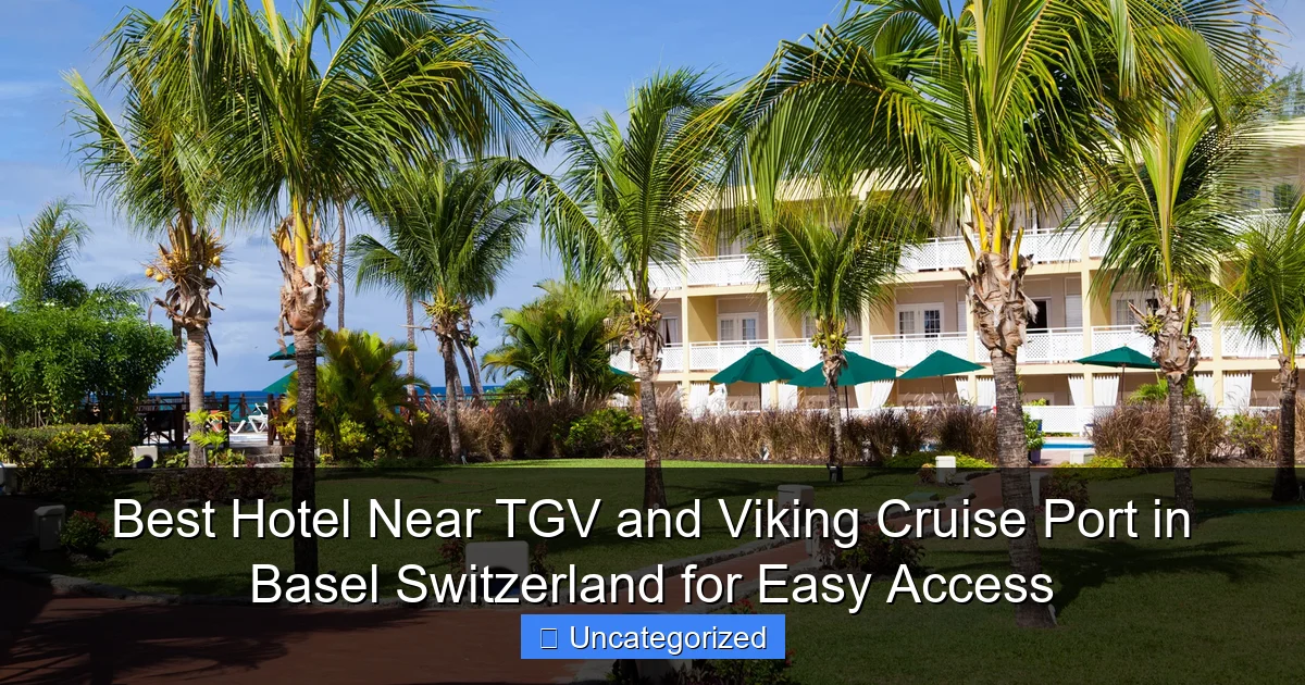 Best Hotel Near TGV and Viking Cruise Port in Basel Switzerland for Easy Access