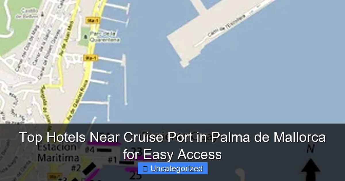 Top Hotels Near Cruise Port in Palma de Mallorca for Easy Access