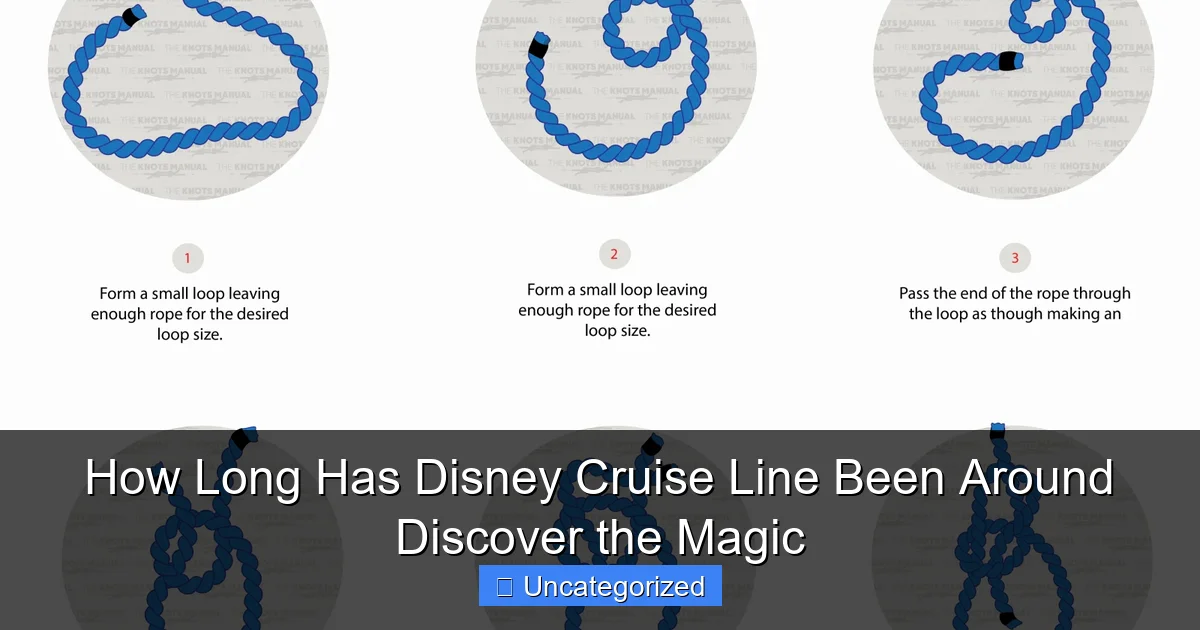 How Long Has Disney Cruise Line Been Around Discover the Magic