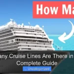 How Many Cruise Lines Are There in 2024 A Complete Guide