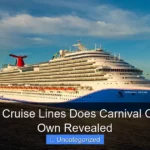 How Many Cruise Lines Does Carnival Corporation Own Revealed