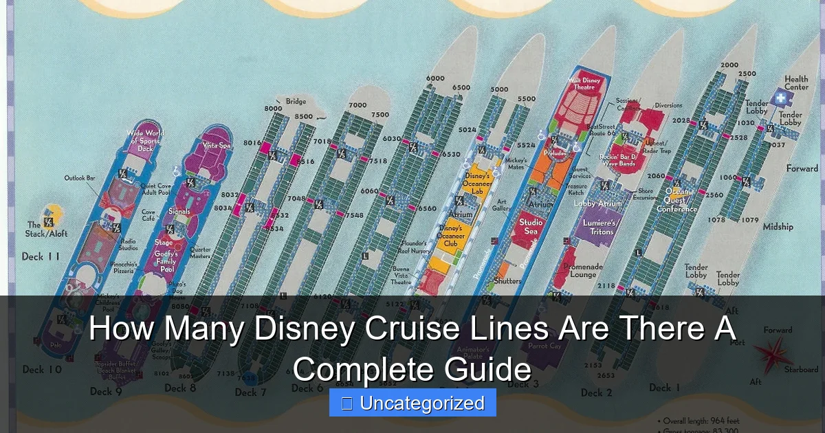 How Many Disney Cruise Lines Are There A Complete Guide