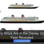 How Many Ships Are in the Disney Cruise Line Fleet Revealed
