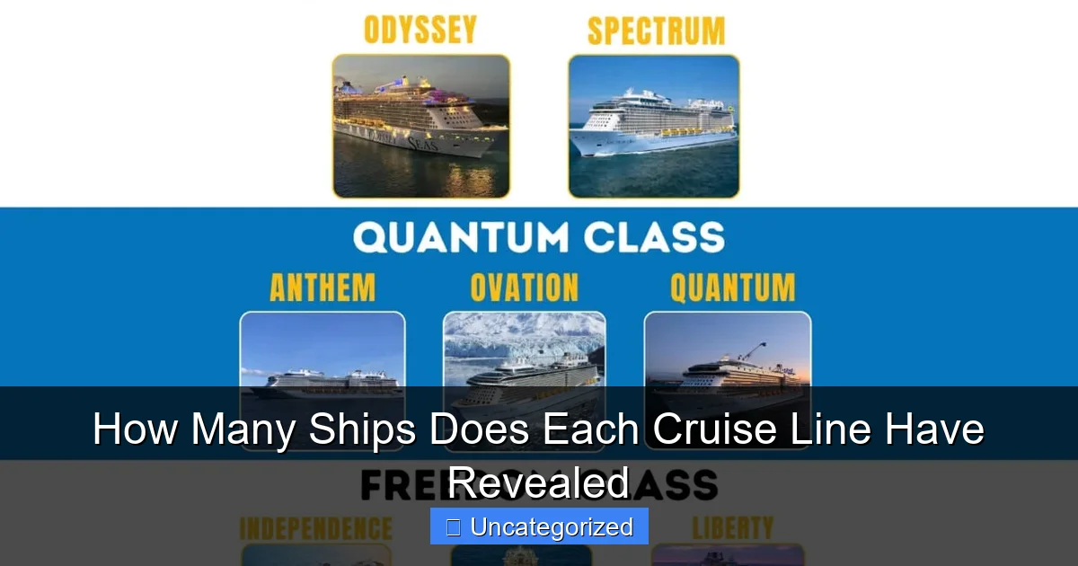 How Many Ships Does Each Cruise Line Have Revealed