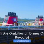 How Much Are Gratuities on Disney Cruise Line Revealed