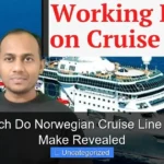 How Much Do Norwegian Cruise Line Workers Make Revealed