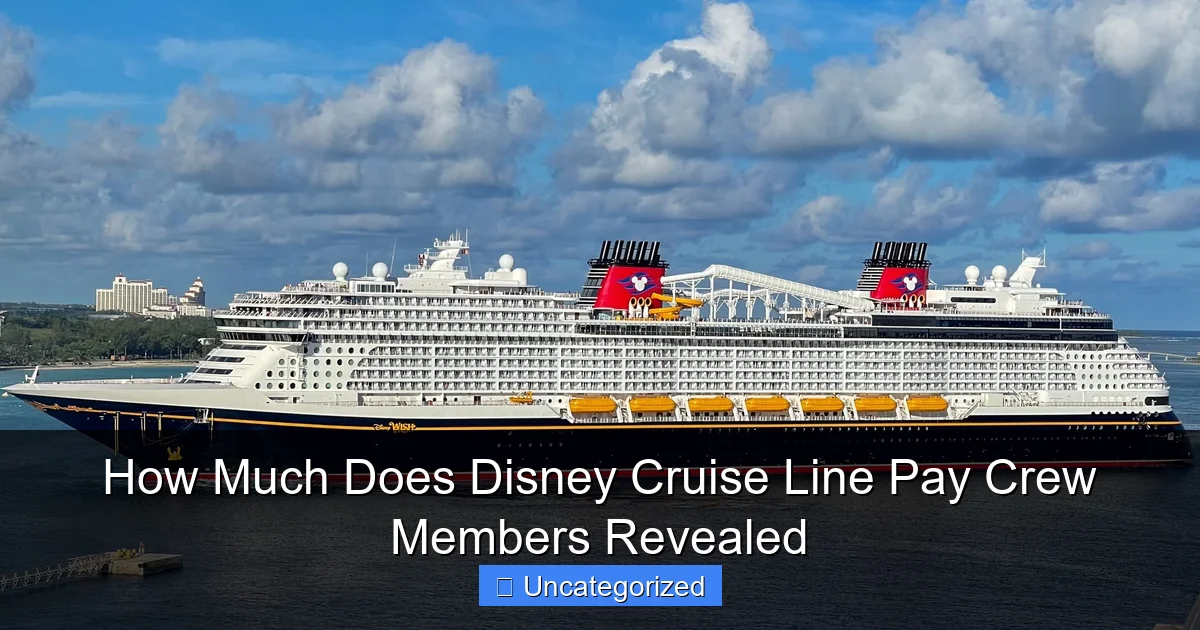 How Much Does Disney Cruise Line Pay Crew Members Revealed