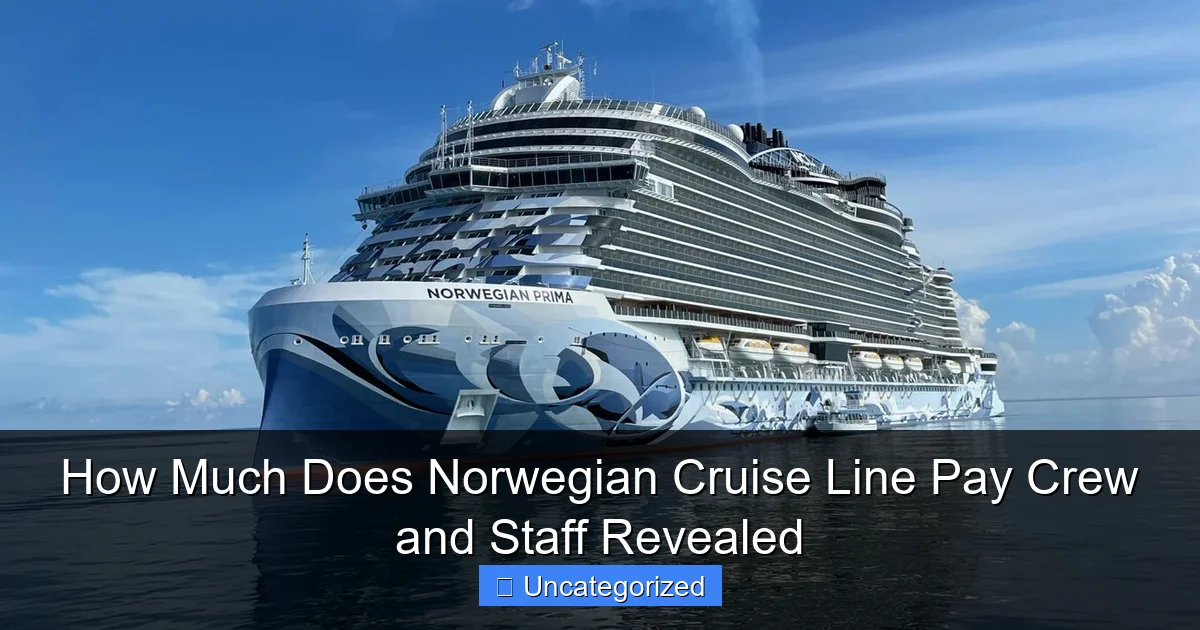 How Much Does Norwegian Cruise Line Pay Crew and Staff Revealed