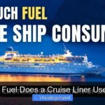 How Much Fuel Does a Cruise Liner Use Revealed