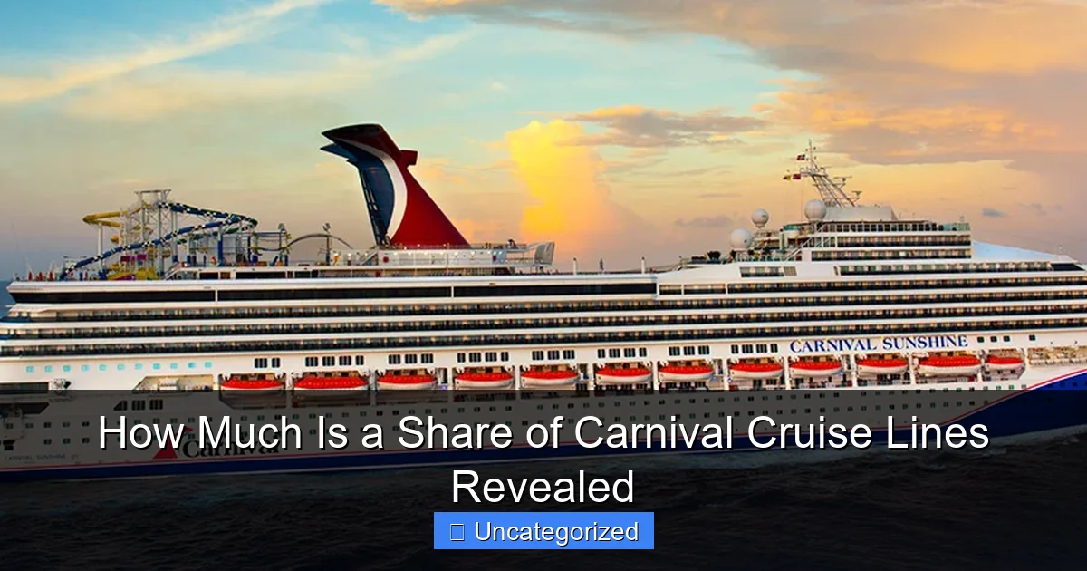 How Much Is a Share of Carnival Cruise Lines Revealed