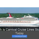 How Much Is Carnival Cruise Lines Stock Worth Today
