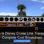 How Much Is Disney Cruise Line Transportation A Complete Cost Breakdown