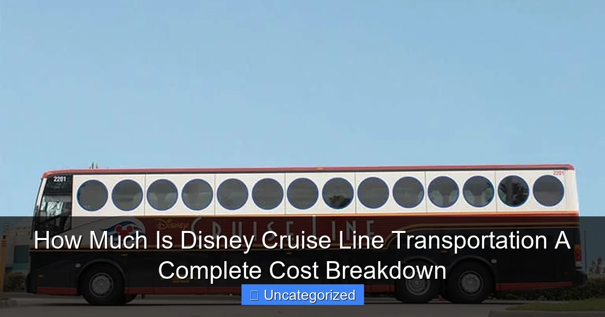How Much Is Disney Cruise Line Transportation A Complete Cost Breakdown