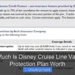 How Much Is Disney Cruise Line Vacation Protection Plan Worth