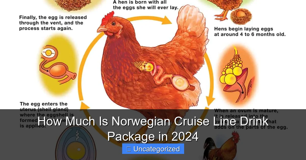 How Much Is Norwegian Cruise Line Drink Package in 2024