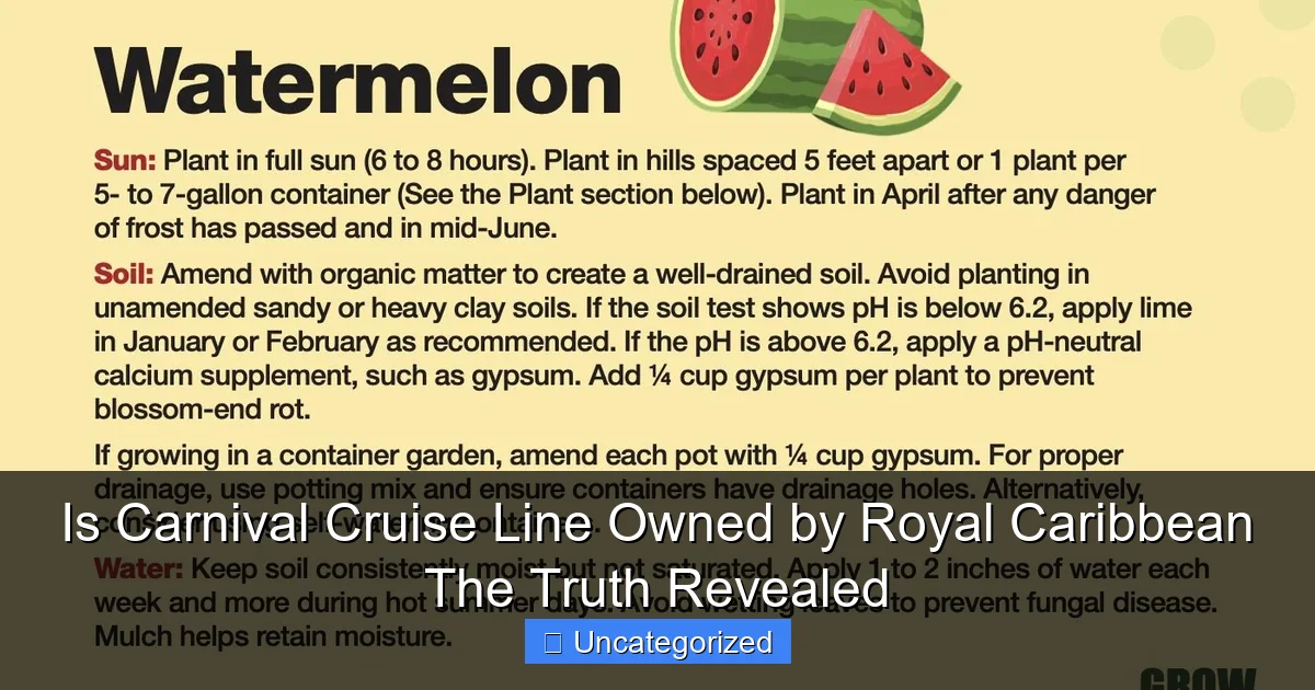 Is Carnival Cruise Line Owned by Royal Caribbean The Truth Revealed